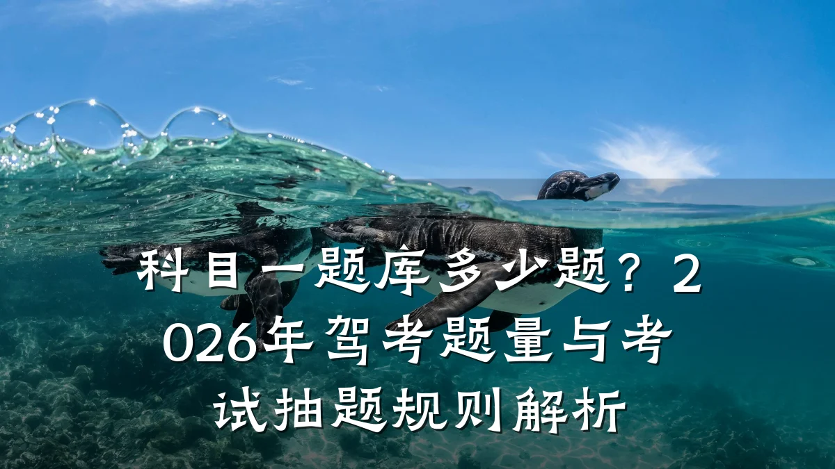 科目一题库多少题?2026年驾考题量与考试抽题规则解析