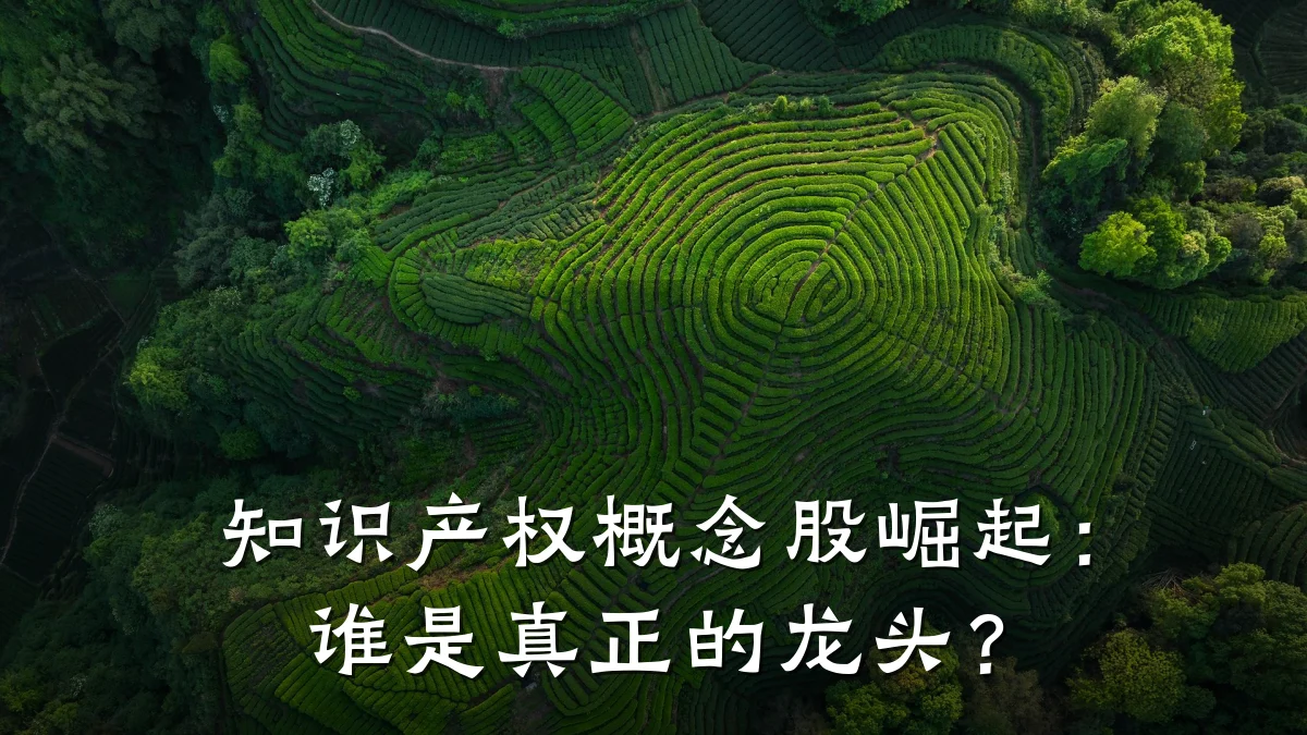 知识产权概念股崛起：谁是真正的龙头？