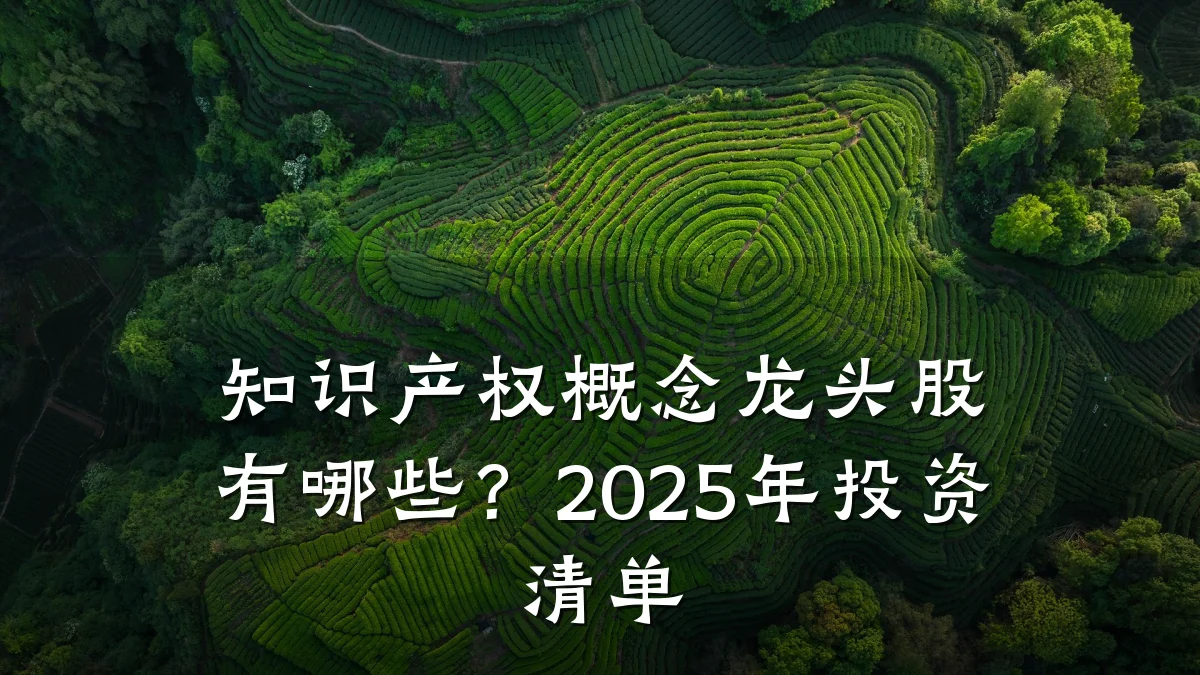 知识产权概念龙头股有哪些？2025年投资清单