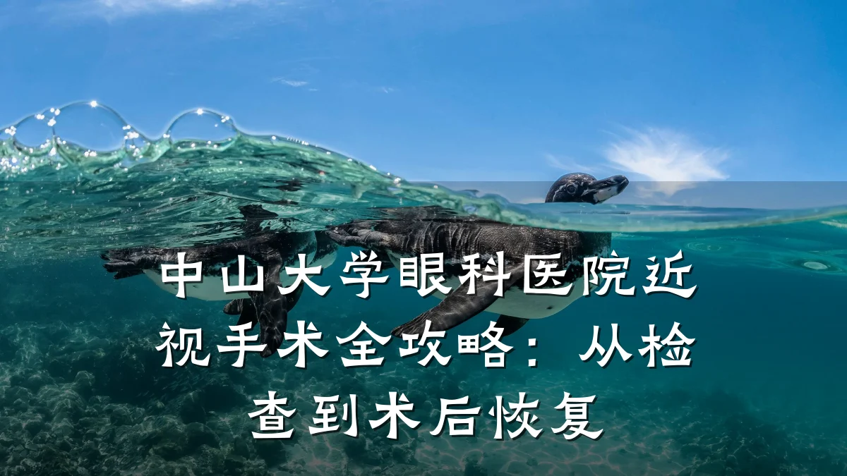 中山大学眼科医院近视手术全攻略:从检查到术后恢复