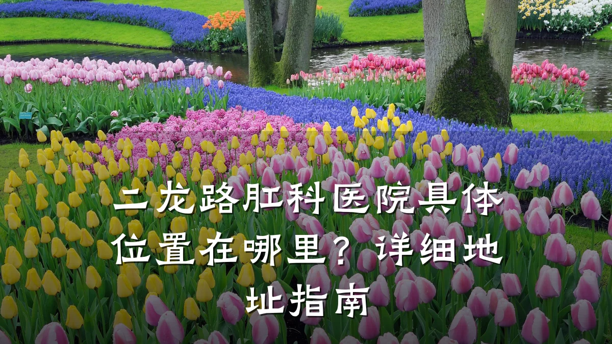 二龙路肛科医院具体位置在哪里？详细地址指南