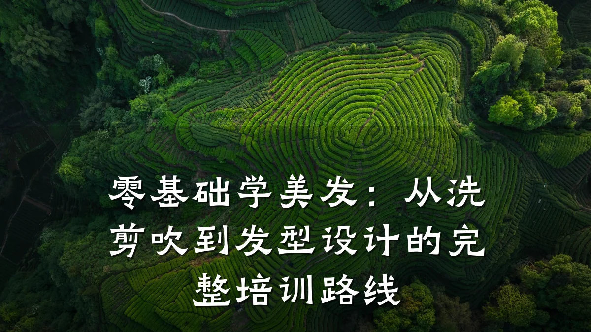 零基础学美发:从洗剪吹到发型设计的完整培训路线