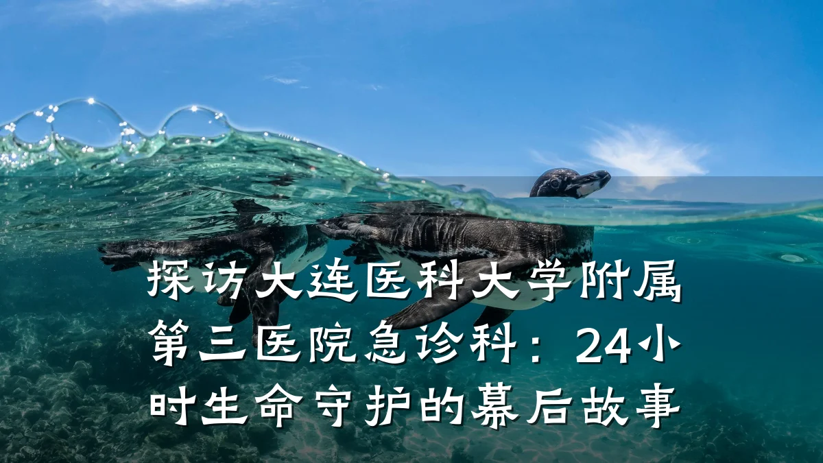 探访大连医科大学附属第三医院急诊科:24小时生命守护的幕后故事
