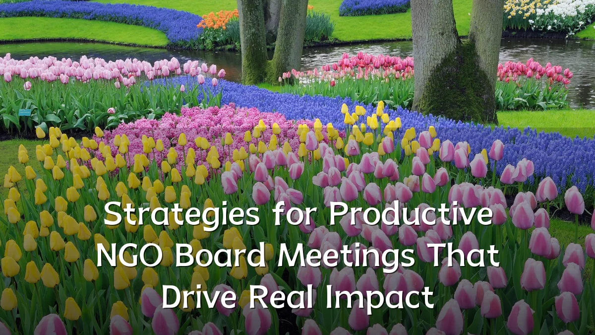 Strategies for Productive NGO Board Meetings That Drive Real Impact