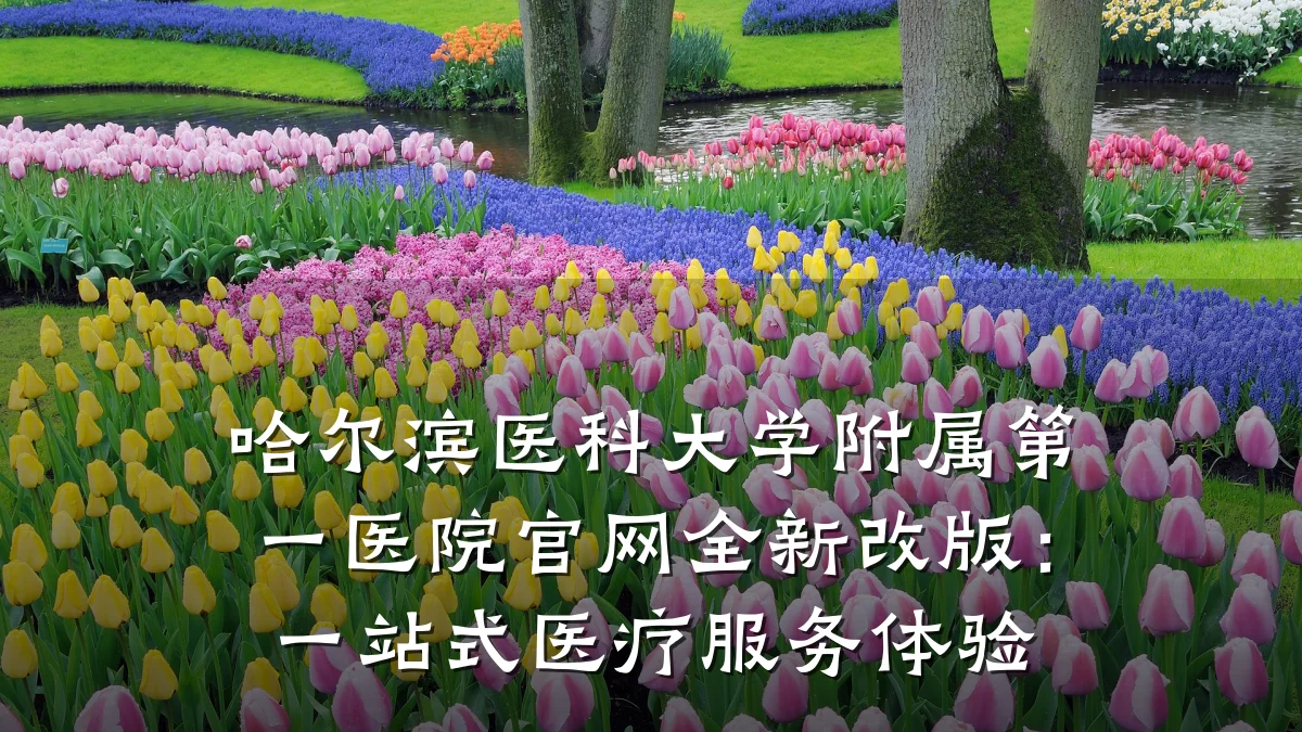 哈尔滨医科大学附属第一医院官网全新改版：一站式医疗服务体验
