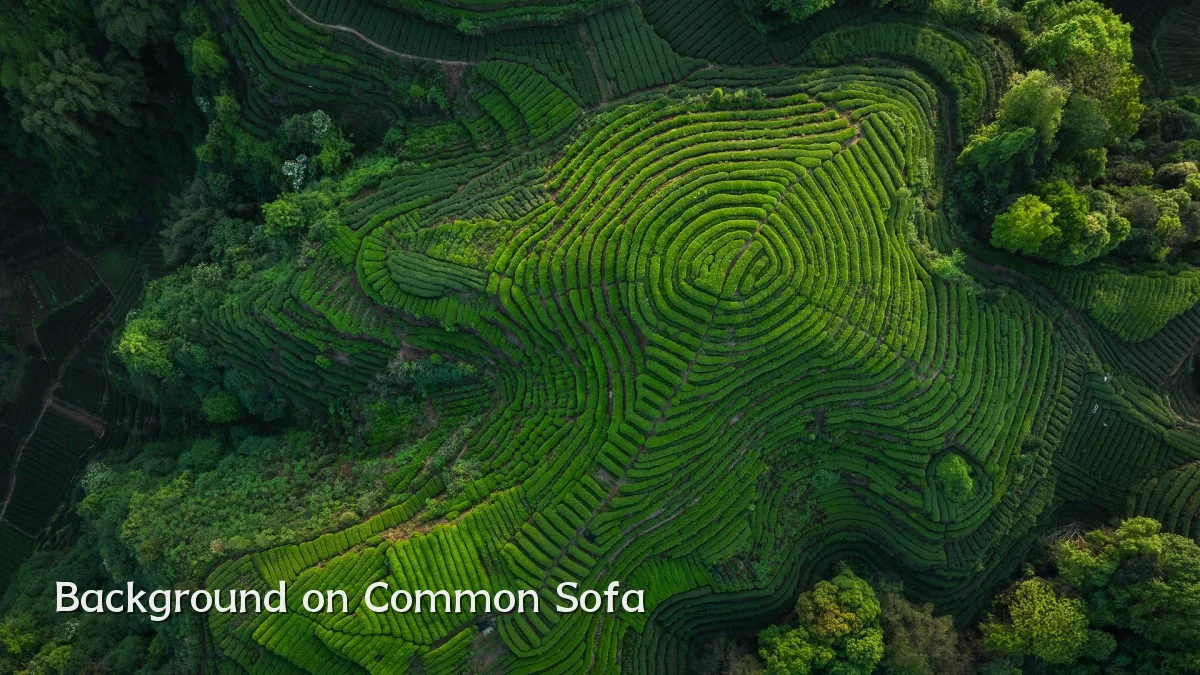 Background on Common Sofa