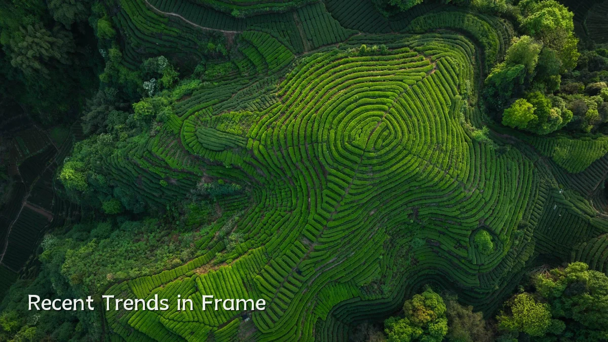 Recent Trends in Frame