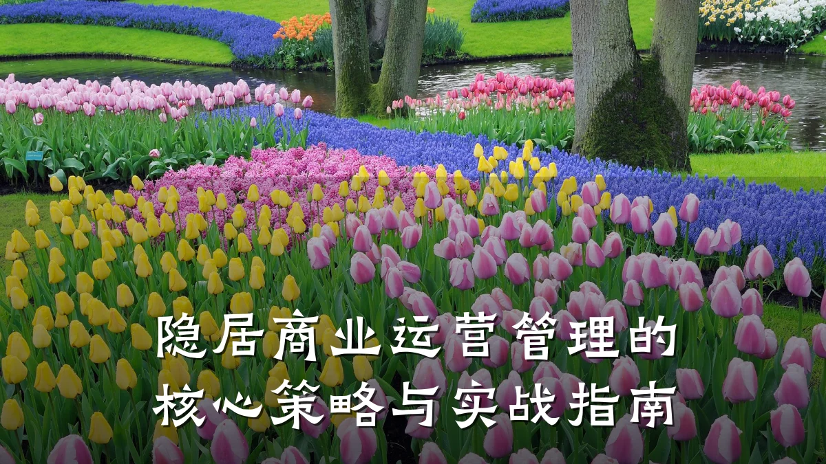隐居商业运营管理的核心策略与实战指南