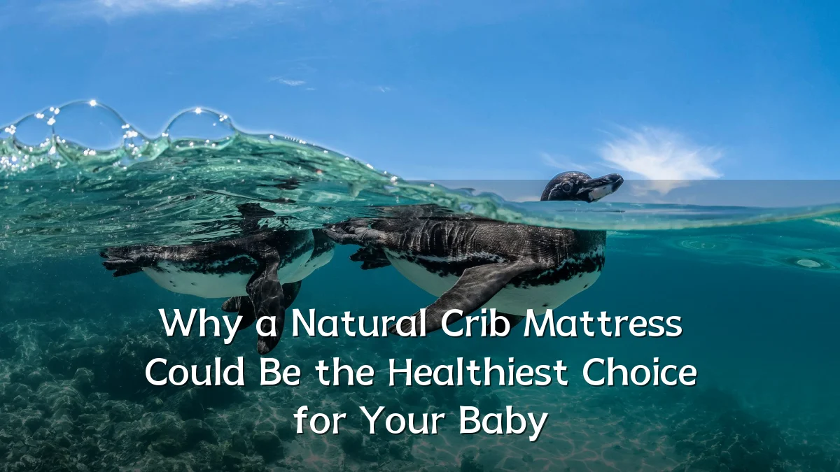 Why a Natural Crib Mattress Could Be the Healthiest Choice for Your Baby