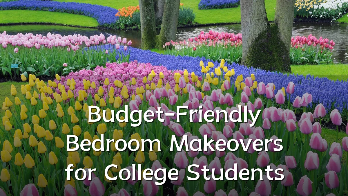Budget-Friendly Bedroom Makeovers for College Students