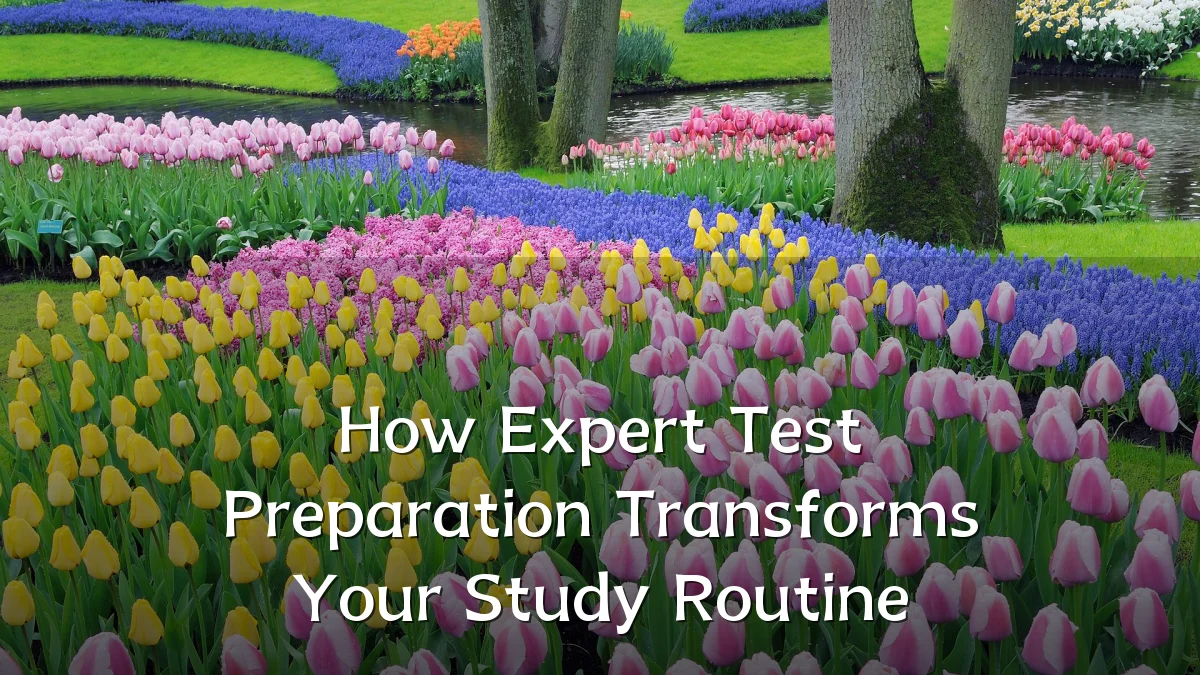 How Expert Test Preparation Transforms Your Study Routine