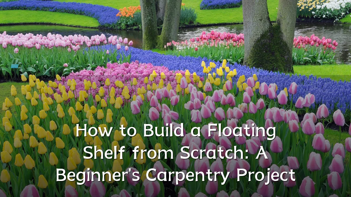 How to Build a Floating Shelf from Scratch: A Beginner's Carpentry Project