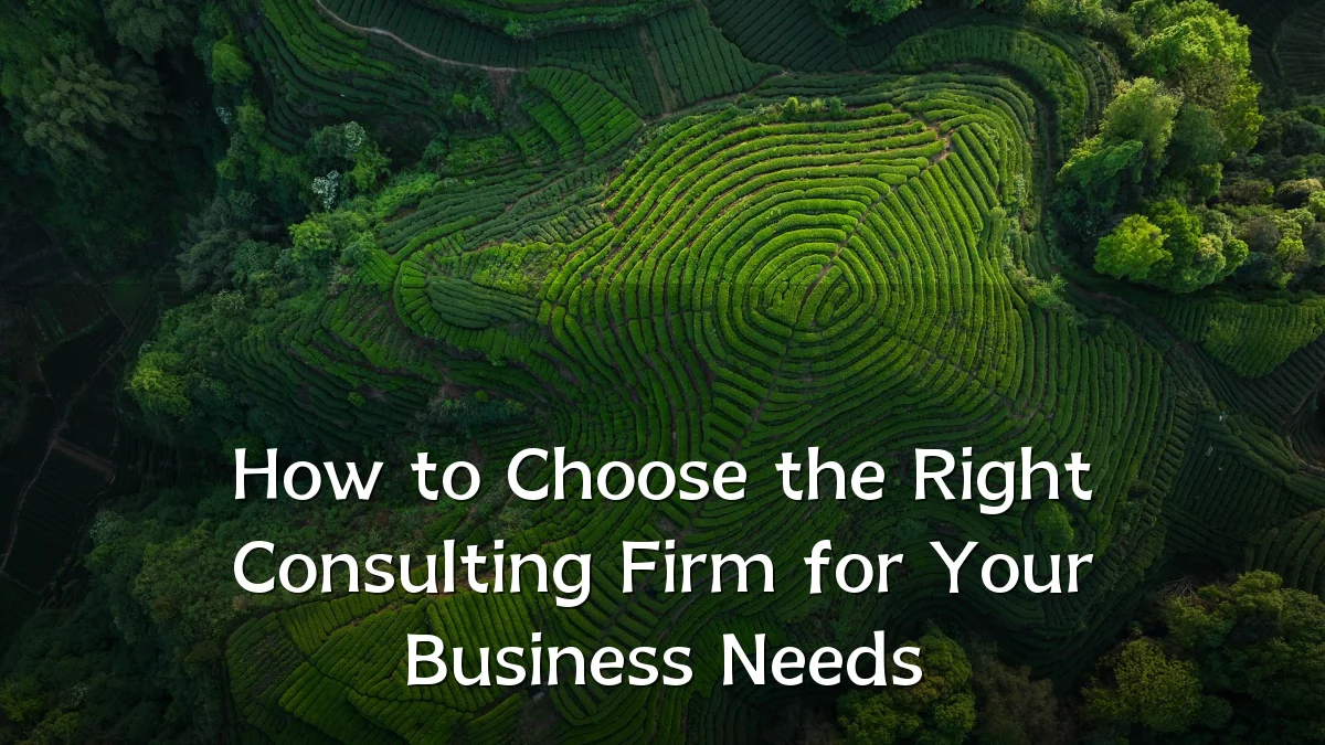 How to Choose the Right Consulting Firm for Your Business Needs