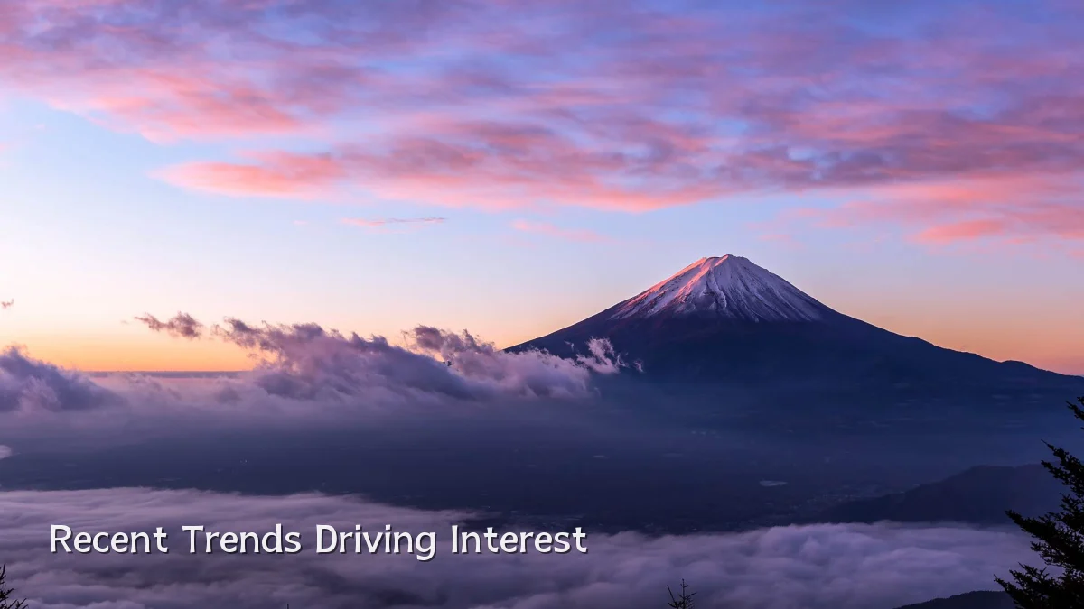Recent Trends Driving Interest