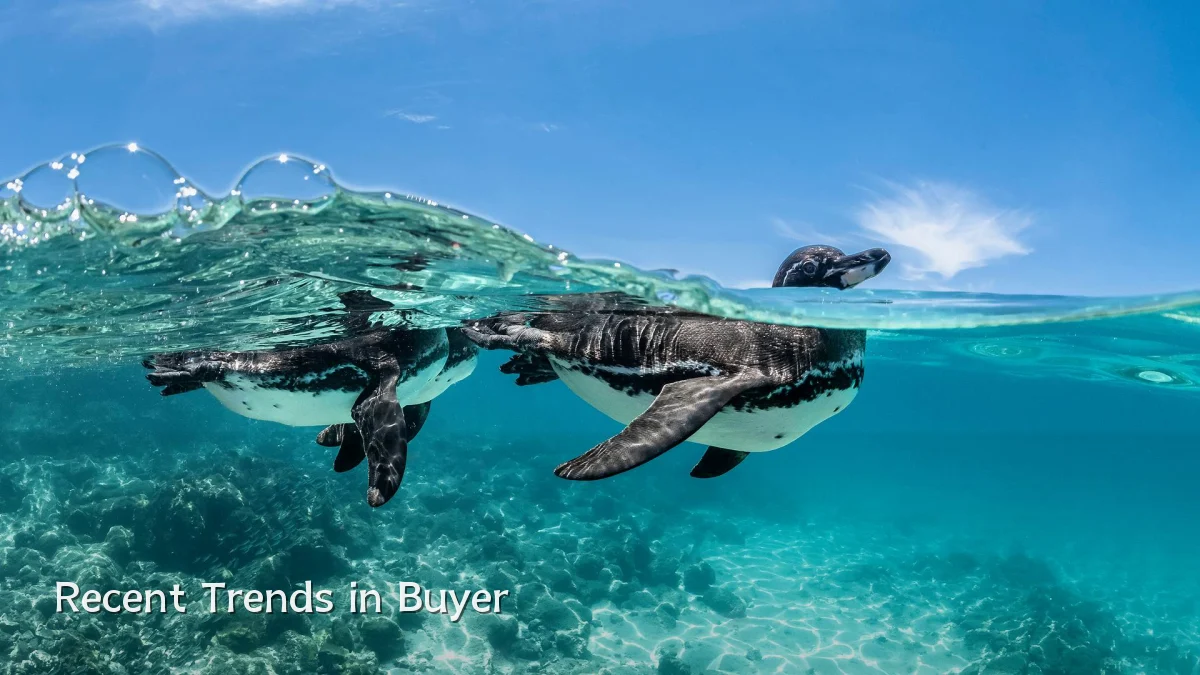 Recent Trends in Buyer