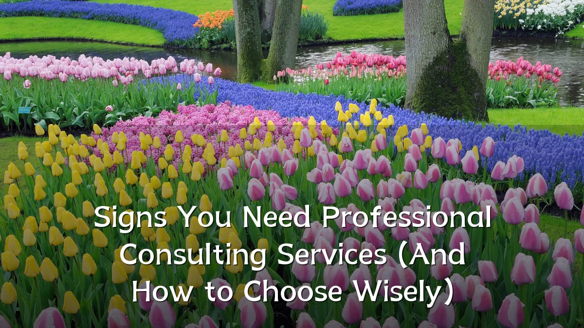 Signs You Need Professional Consulting Services (And How to Choose Wisely)