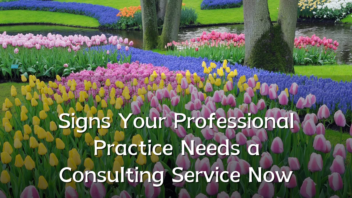Signs Your Professional Practice Needs a Consulting Service Now
