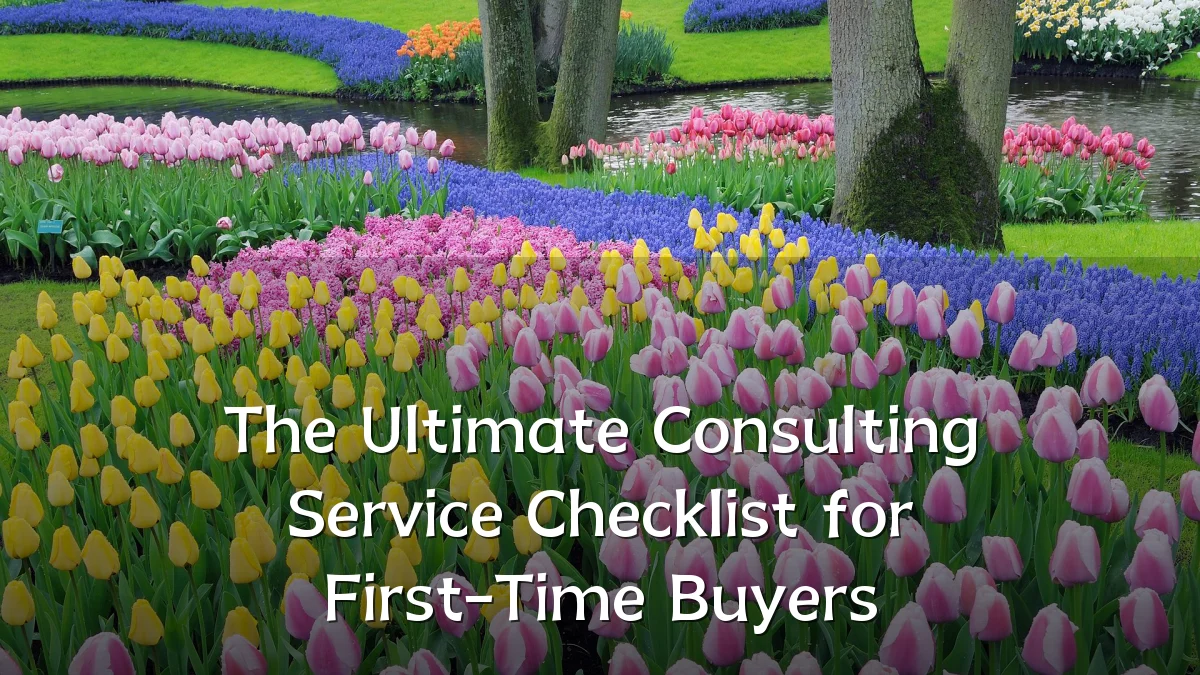 The Ultimate Consulting Service Checklist for First-Time Buyers