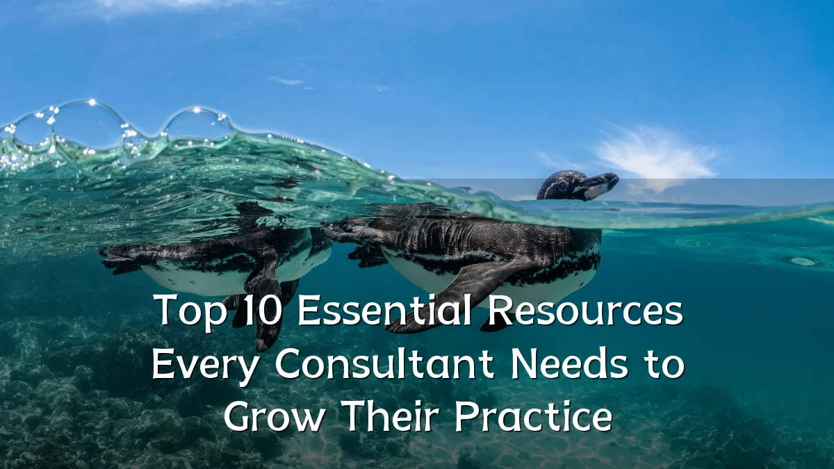 Top 10 Essential Resources Every Consultant Needs to Grow Their Practice