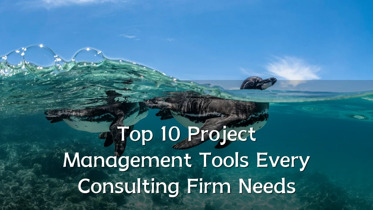 Top 10 Project Management Tools Every Consulting Firm Needs