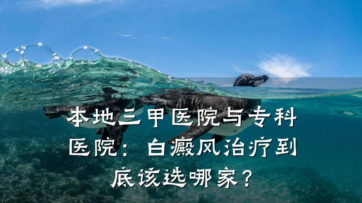 本地三甲医院与专科医院:白癜风治疗到底该选哪家?