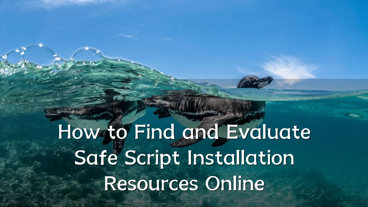 How to Find and Evaluate Safe Script Installation Resources Online