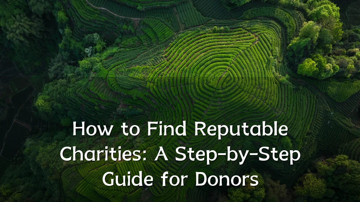 How to Find Reputable Charities: A Step-by-Step Guide for Donors