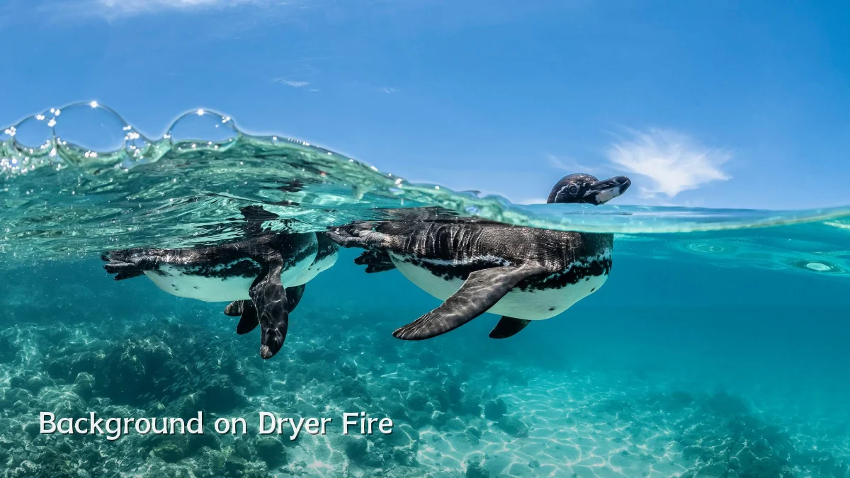 Background on Dryer Fire