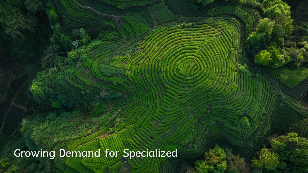 Growing Demand for Specialized