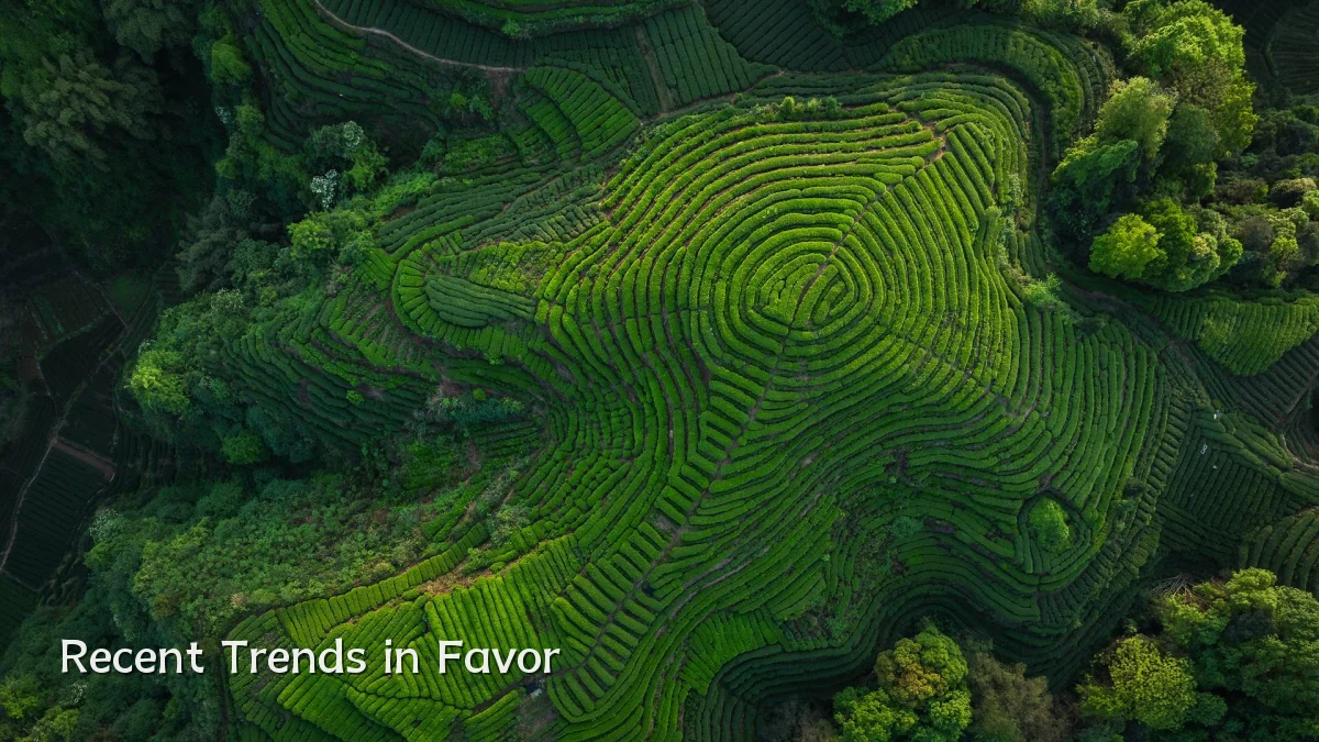 Recent Trends in Favor