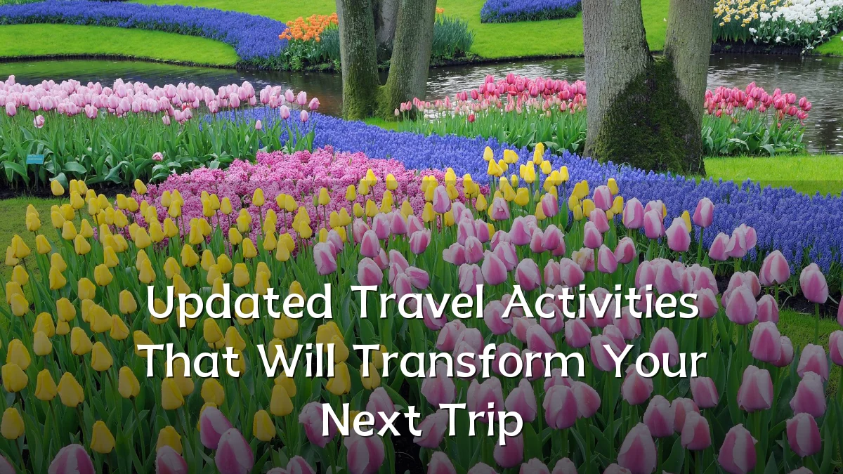 Updated Travel Activities That Will Transform Your Next Trip