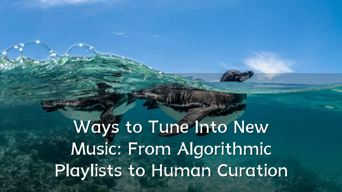 Ways to Tune Into New Music: From Algorithmic Playlists to Human Curation