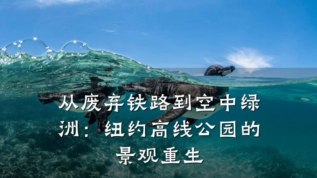 从废弃铁路到空中绿洲：纽约高线公园的景观重生