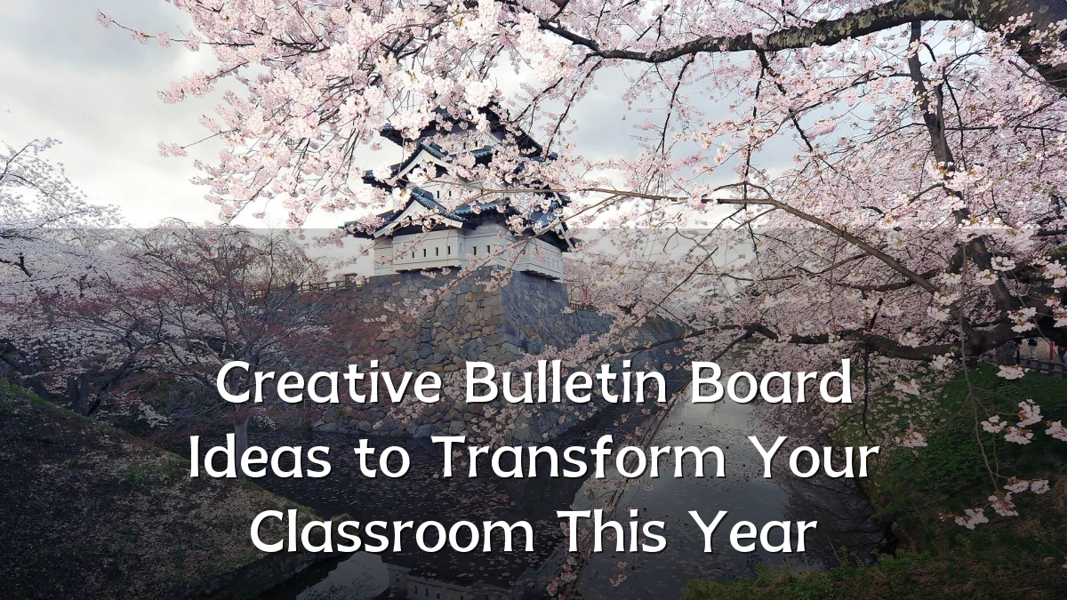Creative Bulletin Board Ideas to Transform Your Classroom This Year