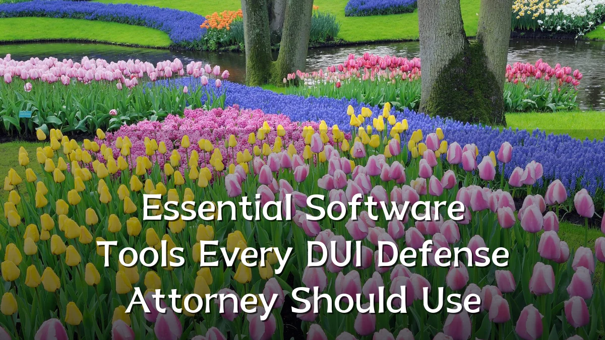Essential Software Tools Every DUI Defense Attorney Should Use