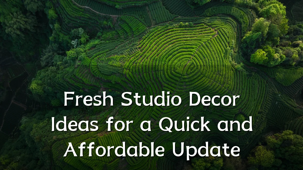Fresh Studio Decor Ideas for a Quick and Affordable Update