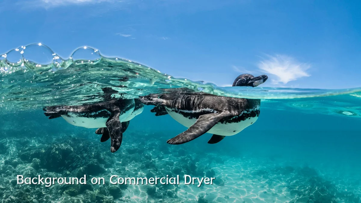 Background on Commercial Dryer