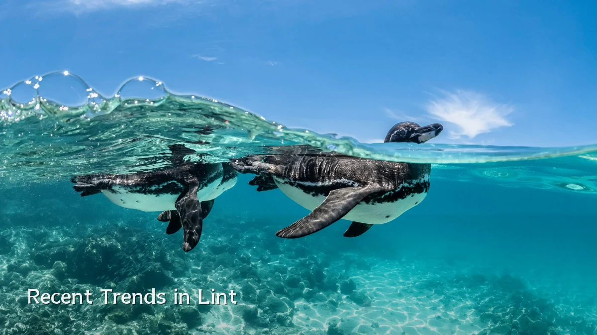 Recent Trends in Lint