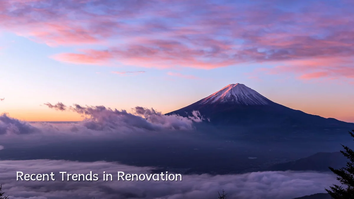 Recent Trends in Renovation