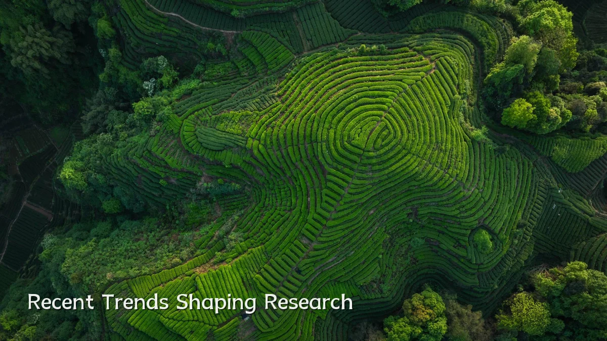 Recent Trends Shaping Research
