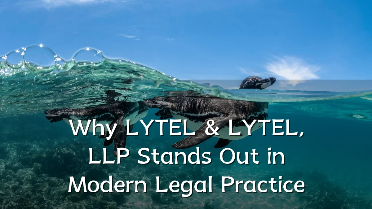 Why LYTEL & LYTEL, LLP Stands Out in Modern Legal Practice
