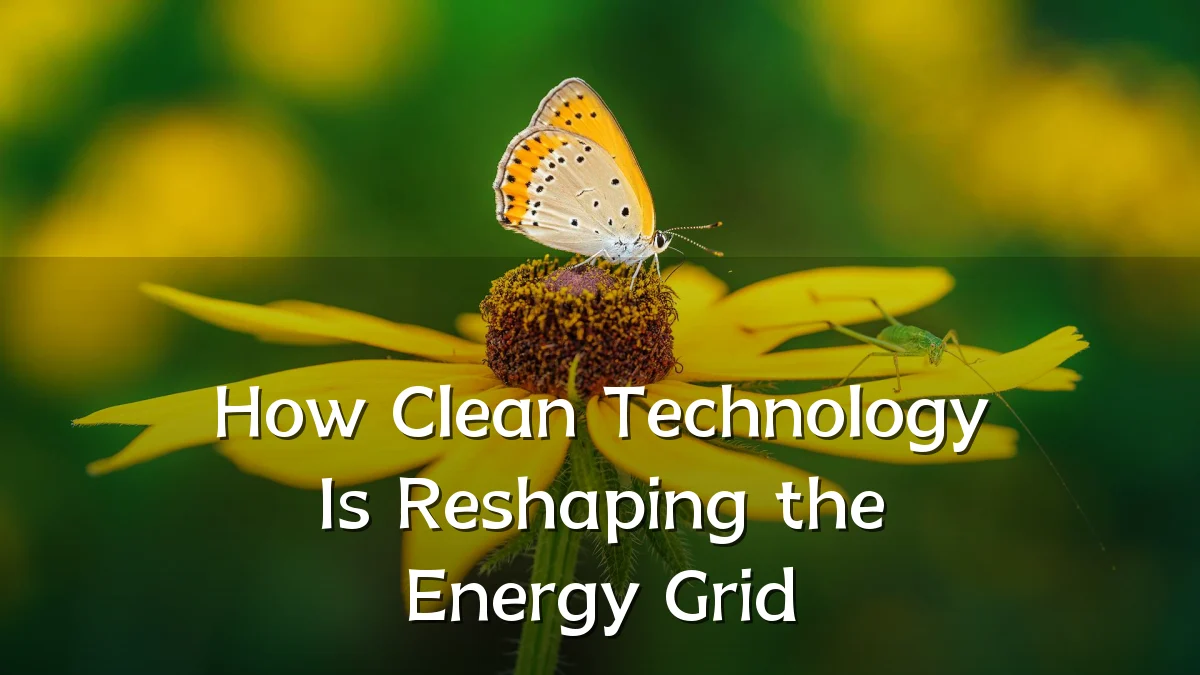 How Clean Technology Is Reshaping the Energy Grid