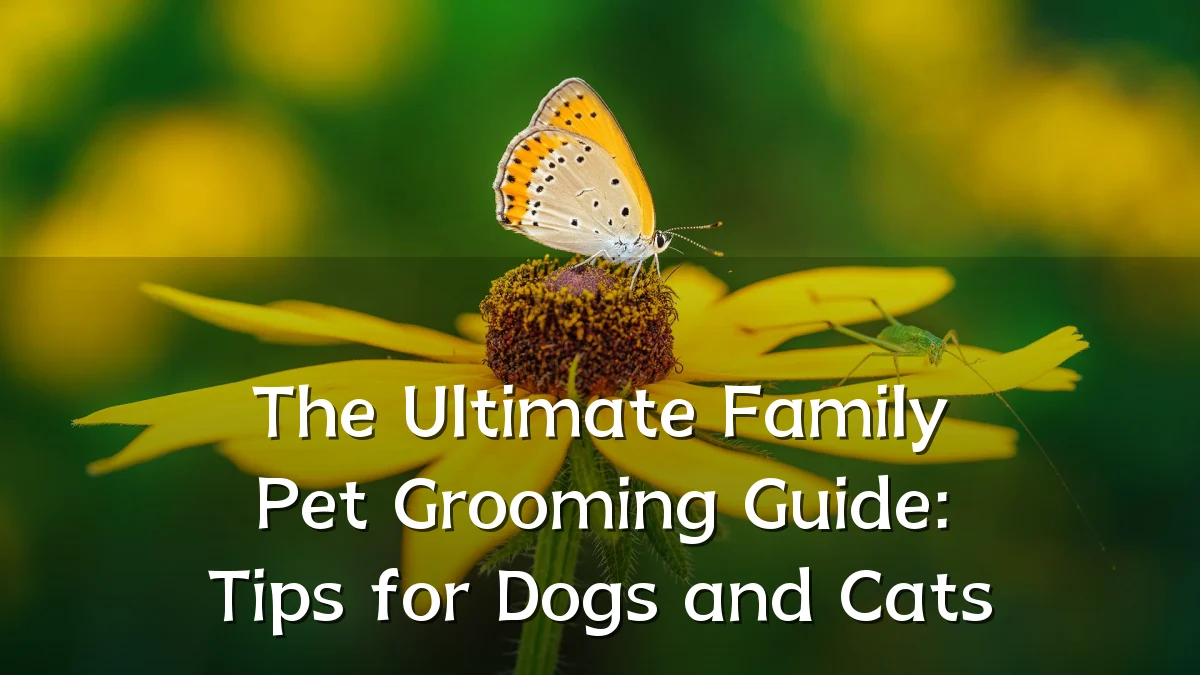 The Ultimate Family Pet Grooming Guide: Tips for Dogs and Cats