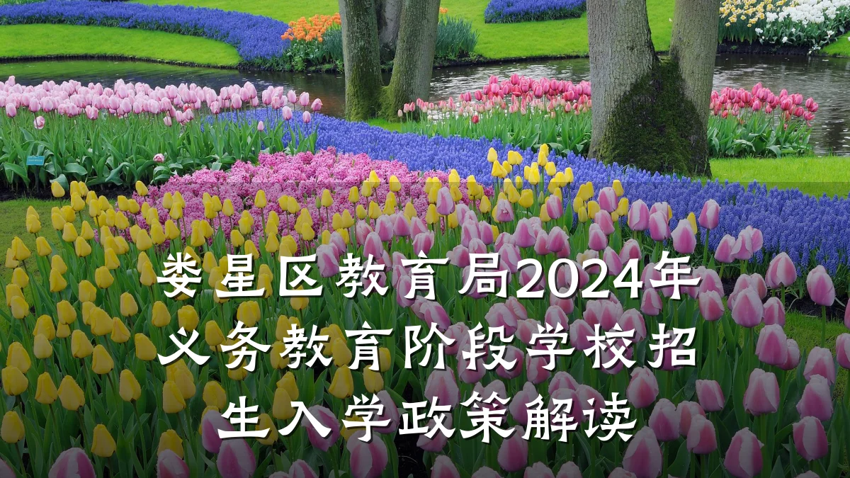 娄星区教育局2024年义务教育阶段学校招生入学政策解读