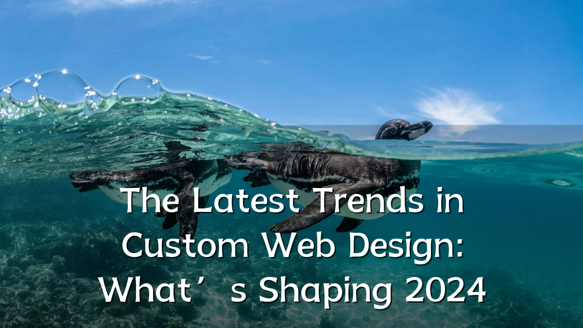 The Latest Trends in Custom Web Design: What’s Shaping 2024