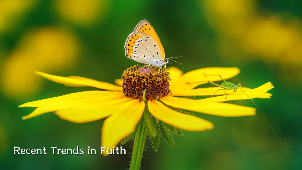 Recent Trends in Faith